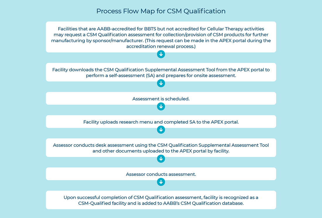 CSMQ Process Flow Map